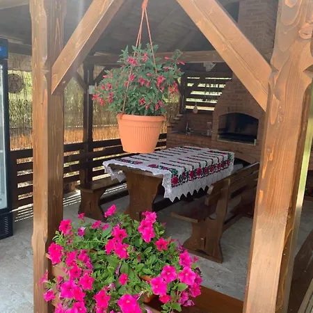 Pensiunea Laura Guest house