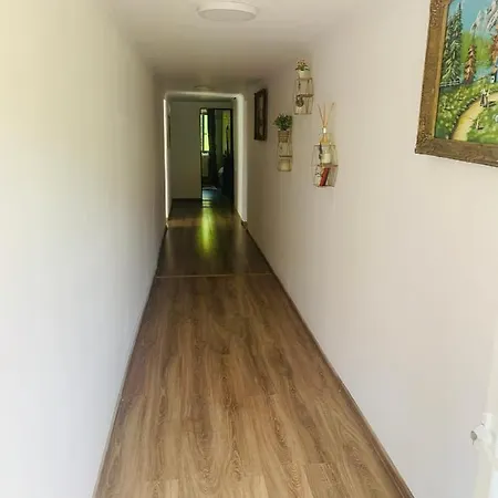 Pensiunea Laura Guest house 3*