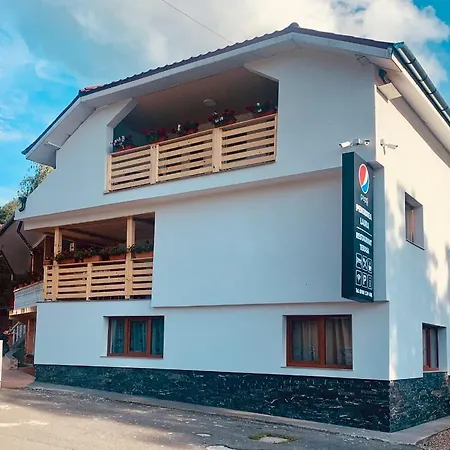 Guest house Pensiunea Laura 3*