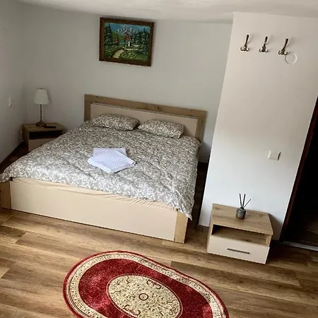 Guest house Pensiunea Laura Chiscau